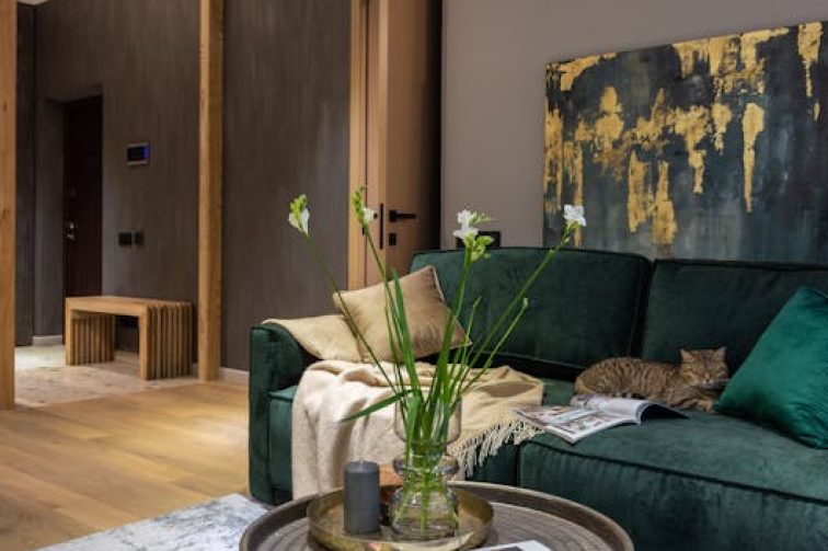 pexels-photo-6580416